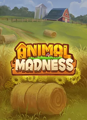 Animal Madness