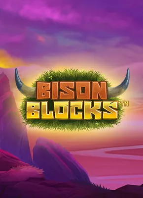 Bison Blocks