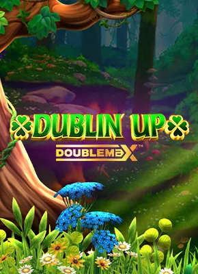 Dublin Up Doublemax