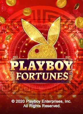 Playboy Fortunes