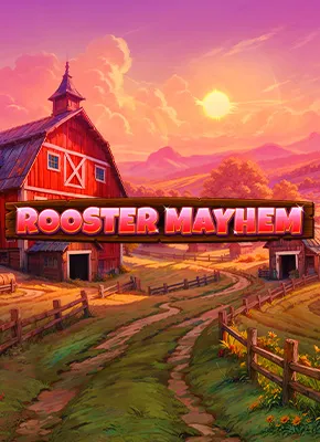 Rooster Mayhem