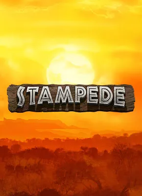 Stampede