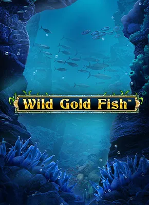 Wild Gold Fish