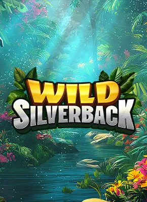 Wild Silverback
