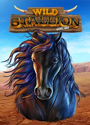 Wild Stallion